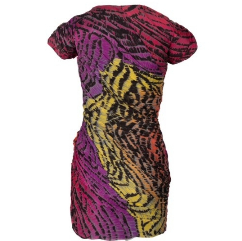 Dvf Erosa Multi Color Rainbow Zebra Zip dress Sz 2 - Picture 3 of 8